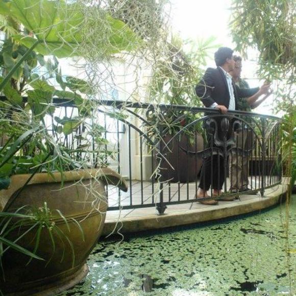 Meet your Posher, Luke - Picture 1 of 1